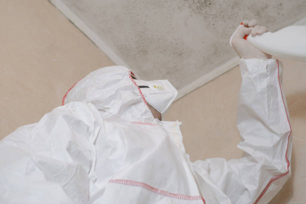 Best Mold Testing  in Elizabethville, PA