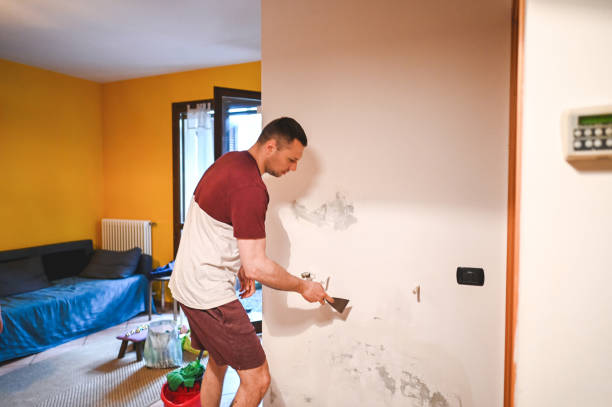 Best Fast Mold Removal  in Elizabethville, PA